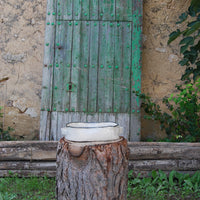FUENTE ROTI